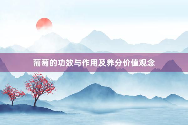 葡萄的功效与作用及养分价值观念